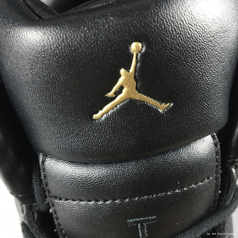 Air  Jordan  Wings AO6068-007 WMNS 12 0407